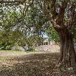 Casa Il Carrubbo Vakantiehuis *